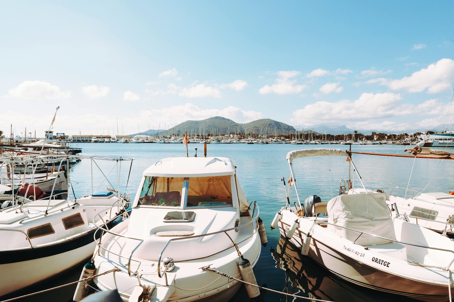 boats in a harbor, clean boats in marina. 
