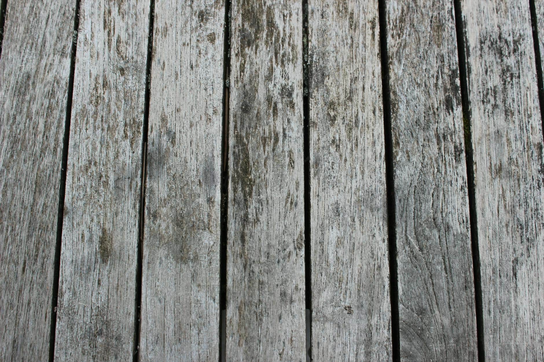 gray mouldy teak deck