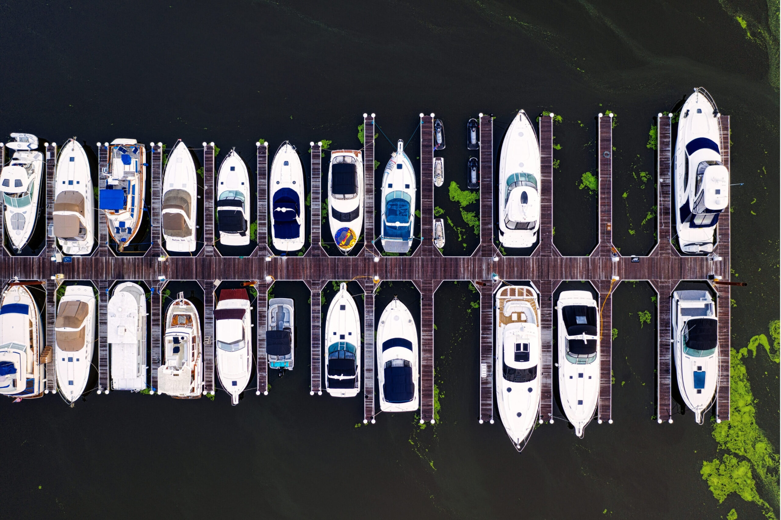 Yachts docked in a marina. 